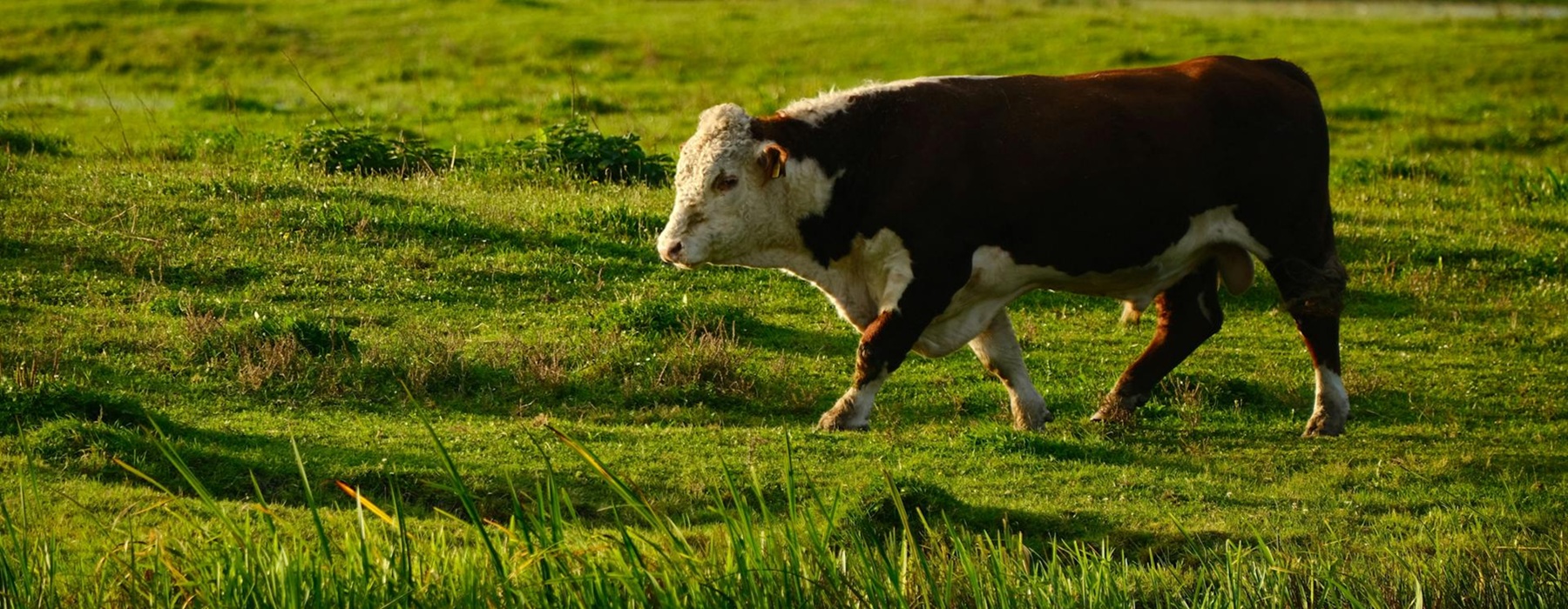 People attending business meeting